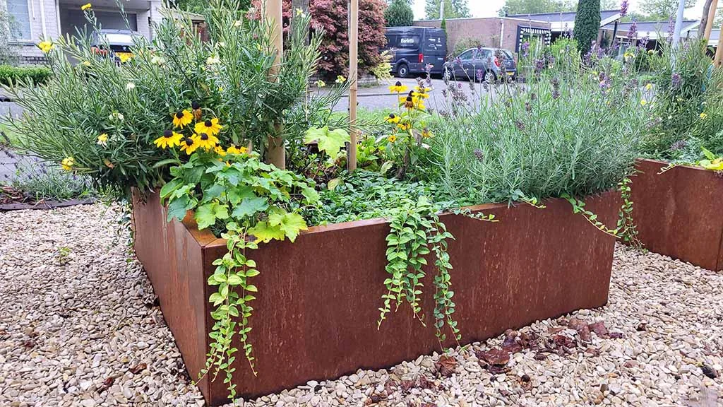 Preencher o vaso de plantio em aço Corten: guia passo a passo completo